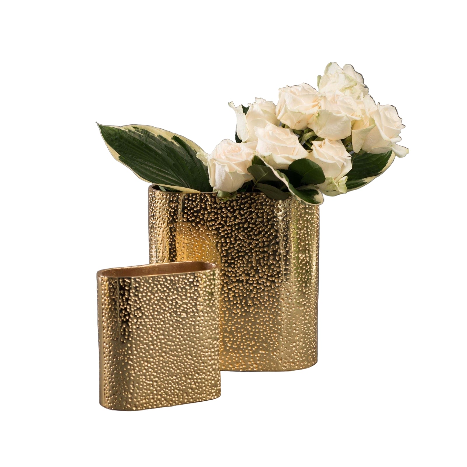 Gold Finish Cosmos Vases