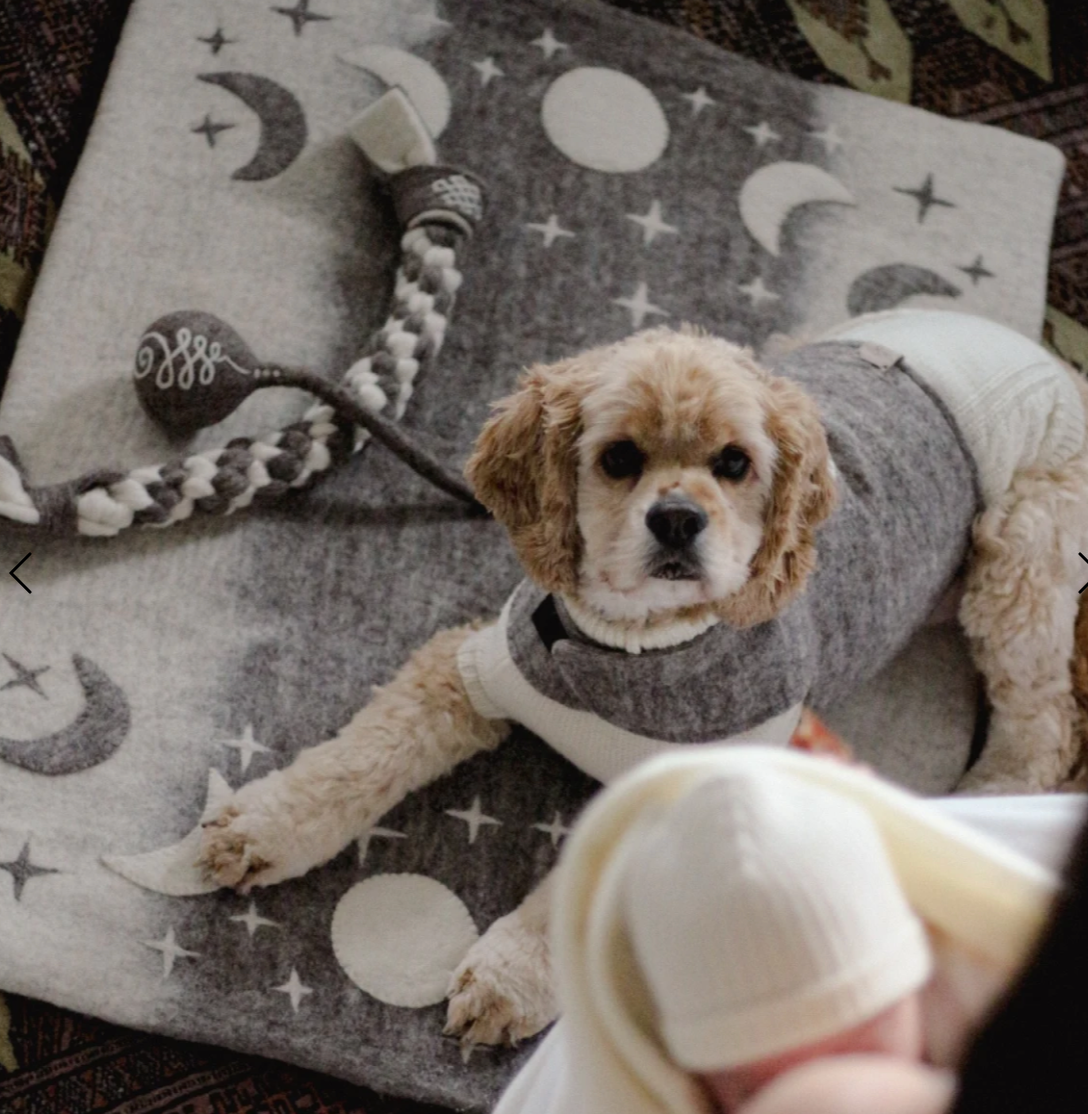 Pet Phases of the Moon Wool Mat & Canvas Travel Bag XL Handmade in Nepal